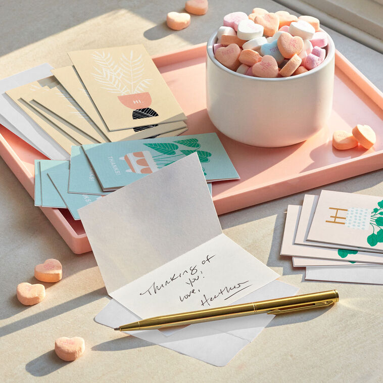 Mini blank note cards with pastel potted plant illustrations on colorful backgrounds, 12-pack with foil accents and matte finish.
