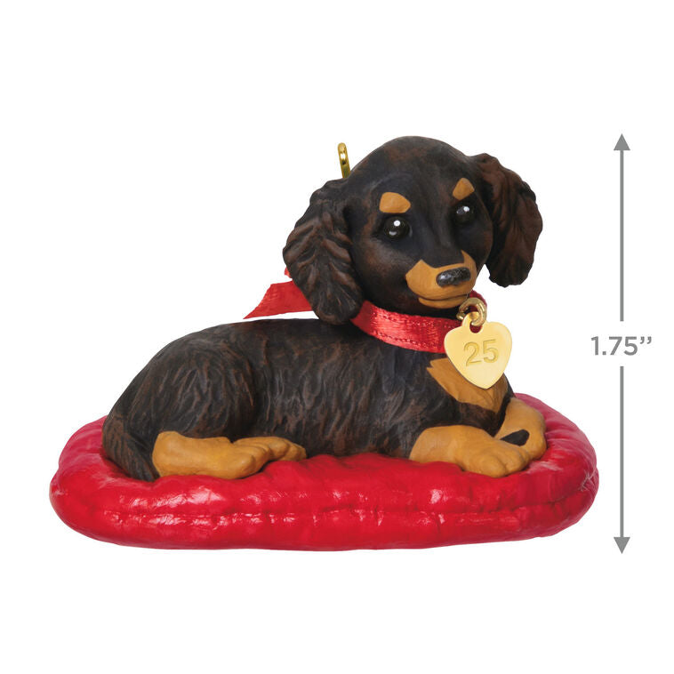 Hallmark Keepsake ornament of long-haired dark and light brown dachshund on red dog bed, red bow with 2025 heart charm