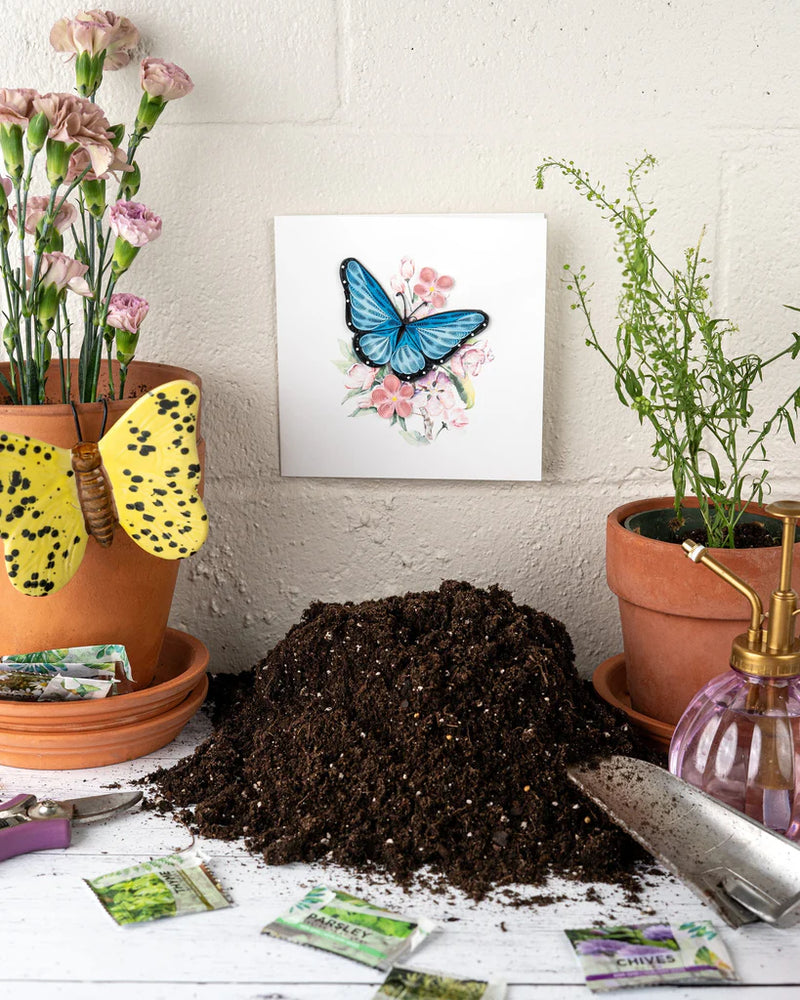 Blue Butterfly & Pink Flowers