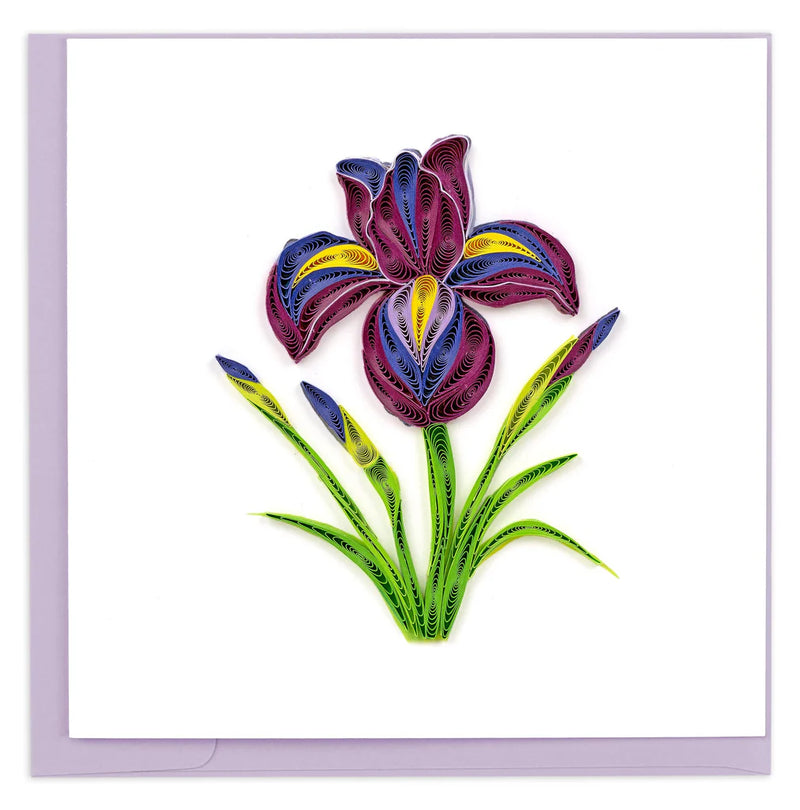 Hand-quilled greeting card featuring a purple iris with yellow accents, green leaves, and a light lavender frame on white background.