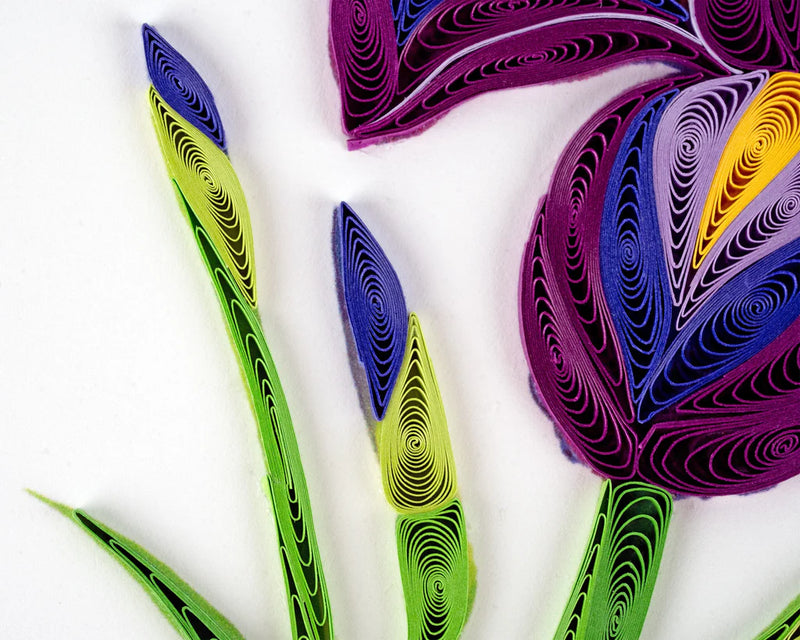 Hand-quilled greeting card featuring a purple iris with yellow accents, green leaves, and a light lavender frame on white background.