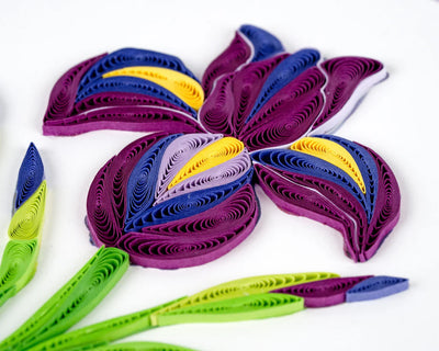 Hand-quilled greeting card featuring a purple iris with yellow accents, green leaves, and a light lavender frame on white background.