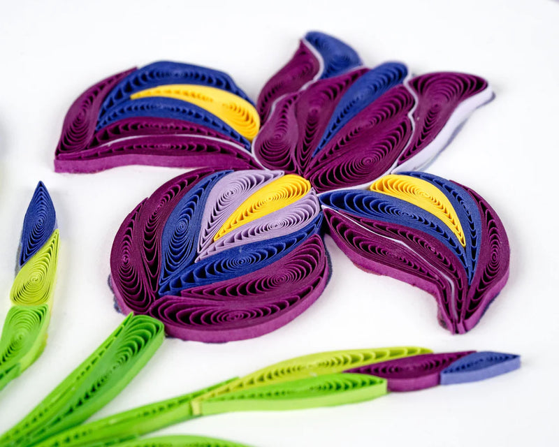 Hand-quilled greeting card featuring a purple iris with yellow accents, green leaves, and a light lavender frame on white background.