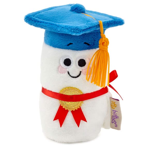 Diploma Plush With Sound