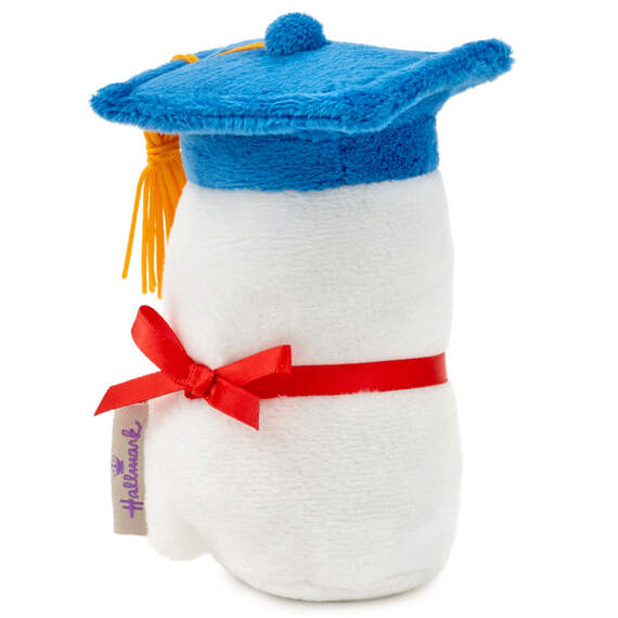 Diploma Plush With Sound