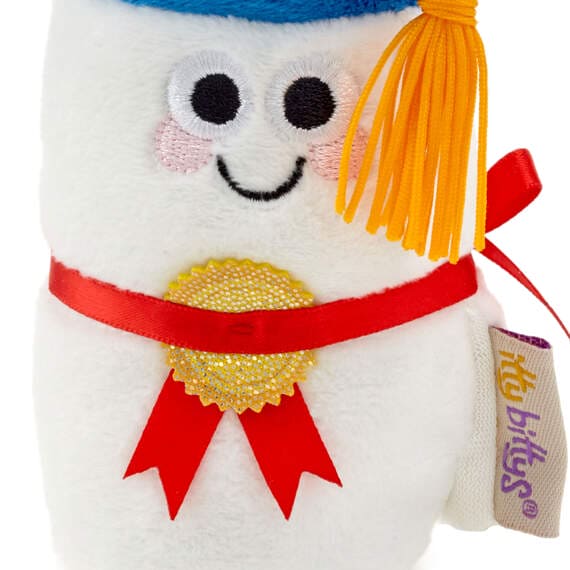 Diploma Plush With Sound