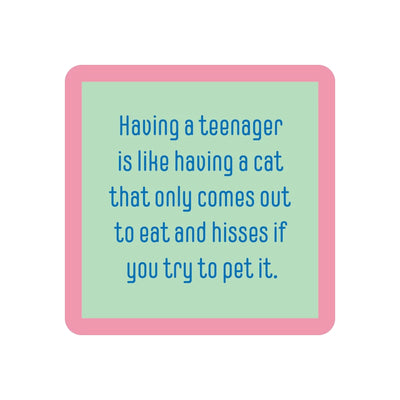 Teenager/cat Coasters