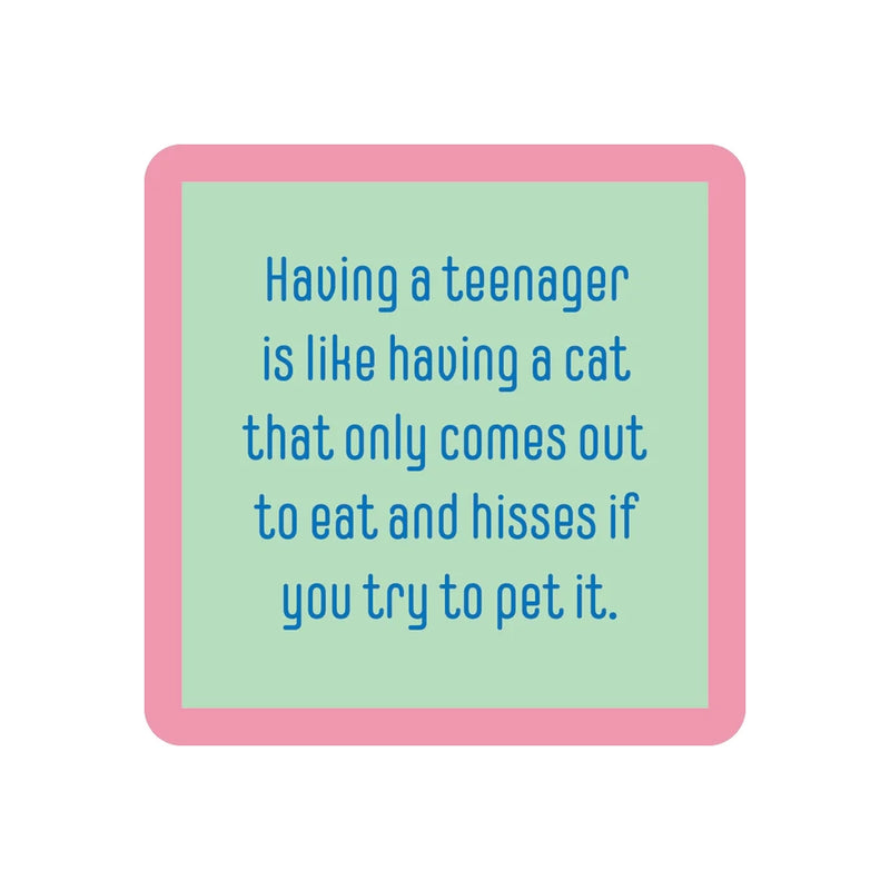 Teenager/cat Coasters