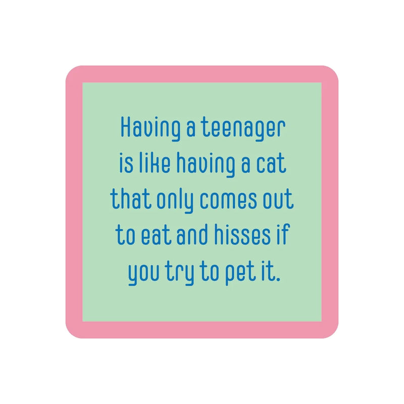Teenager/cat Coasters