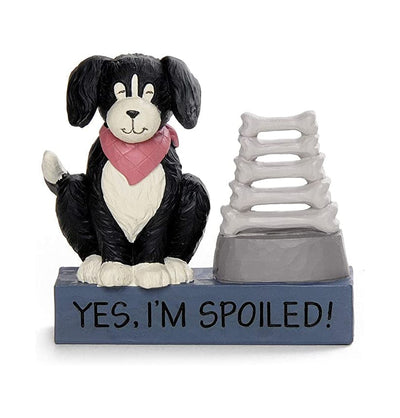 The spoiled dog is a craft design multi-color combination for home.