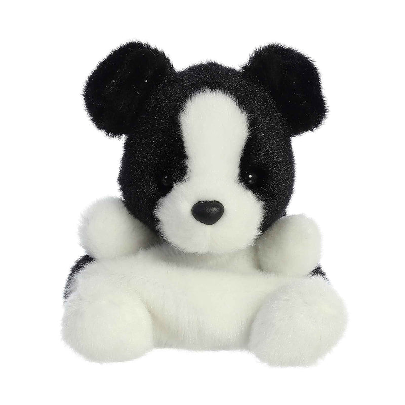Brody Collie - Palm Pals