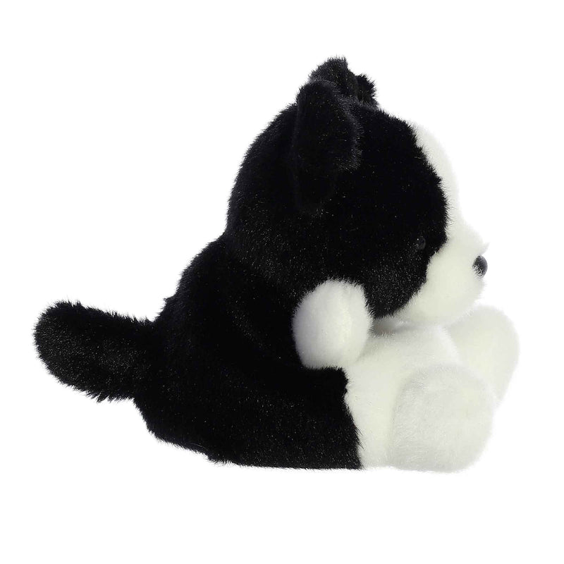 Brody Collie - Palm Pals