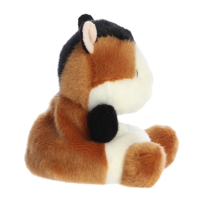 Nutmeg Guinea Pig - Palm Pals