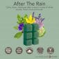 After the Rain Classic Wax Melts with Calm, clean, freshness after a storm
