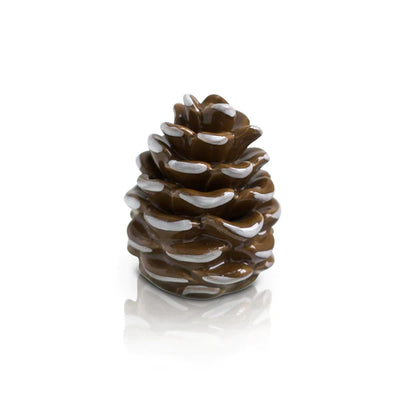 Brown pine cone on a white background
