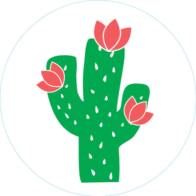 green cactus with four ribs and pink flowers on top. Plain white background