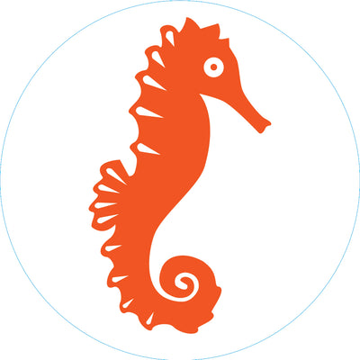 Orange seahorse curled in a circle