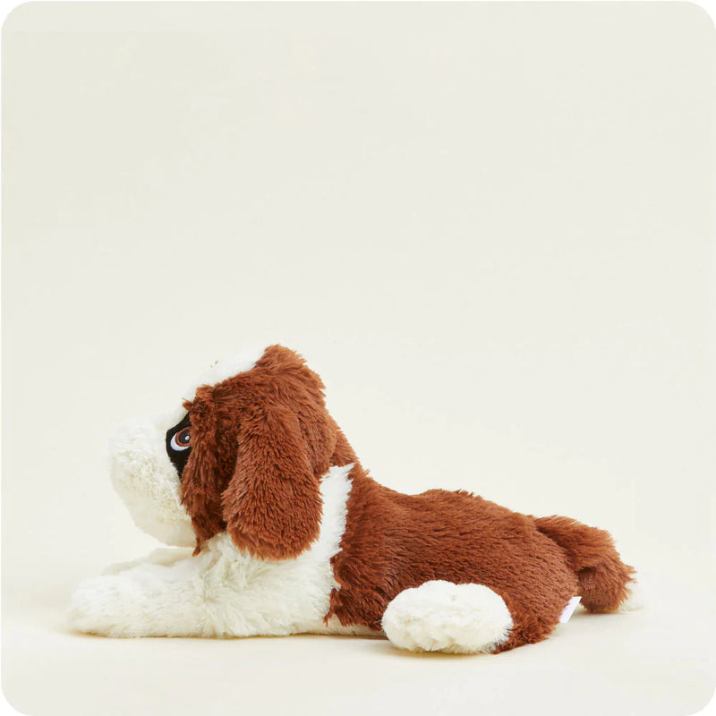 St. Bernard: with brown and white colors