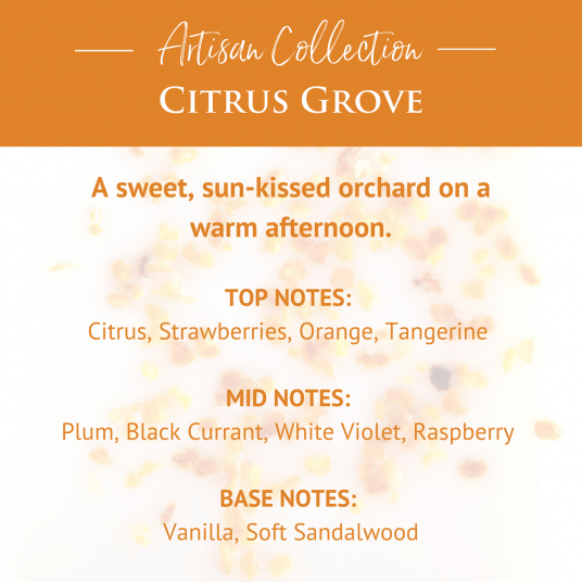 Citrus Grove Artisan Wax Melts with Citrus, Strawberries, Orange, Tangerine Plum, Black Currant, White Violet, Raspberry Vanilla, and Soft Sandalwood