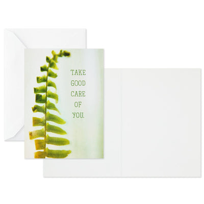 The Thinking of You greeting card assortment pack includes 12 cards and envelopes: 3 of each of the four designs.