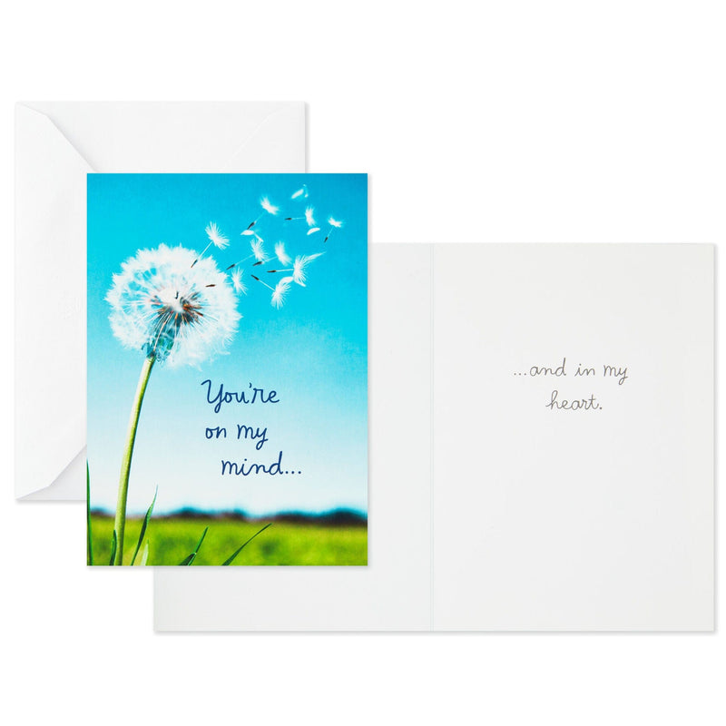 The Thinking of You greeting card assortment pack includes 12 cards and envelopes: 3 of each of the four designs.