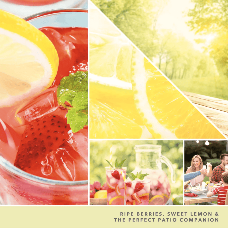 Scenterpiece® Easy MeltCups Iced Berry Lemonade Strawberry Leaf, Lemon Sugar, Sweet Mandarin, Ruby Red Grapefruit, and other flavors